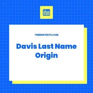 12 Davis Last Name Origin Facts Revealed
