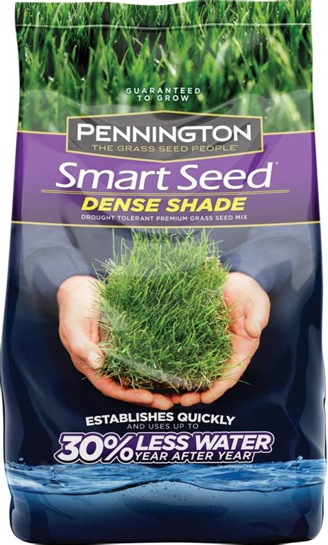 Grass Seed In Shade Grass Seed In Shade