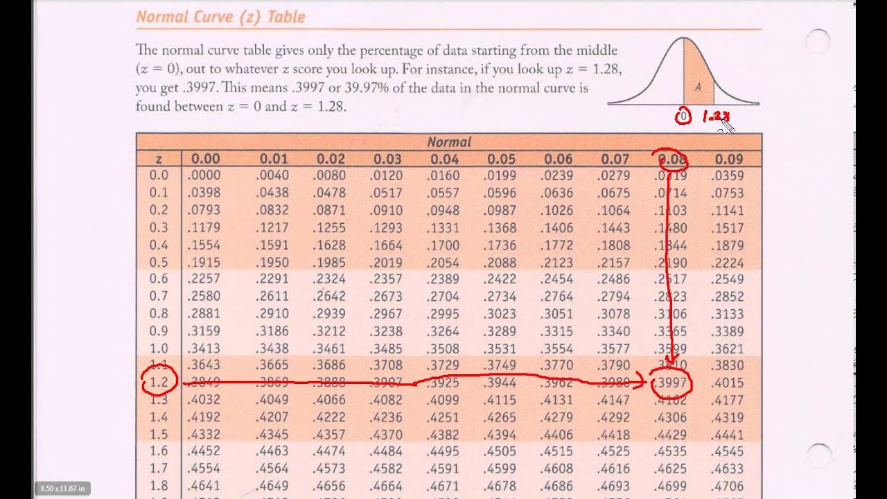 How To Use Z Table? Easy Standard Normal Lookup