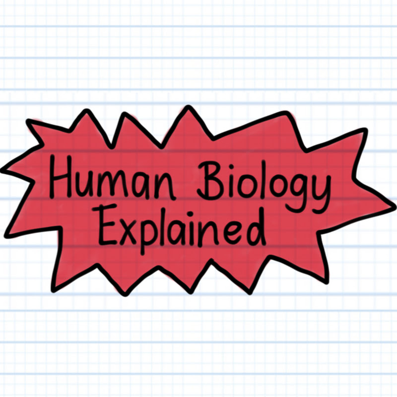 Red Blood Truth: Bug Biology Explained