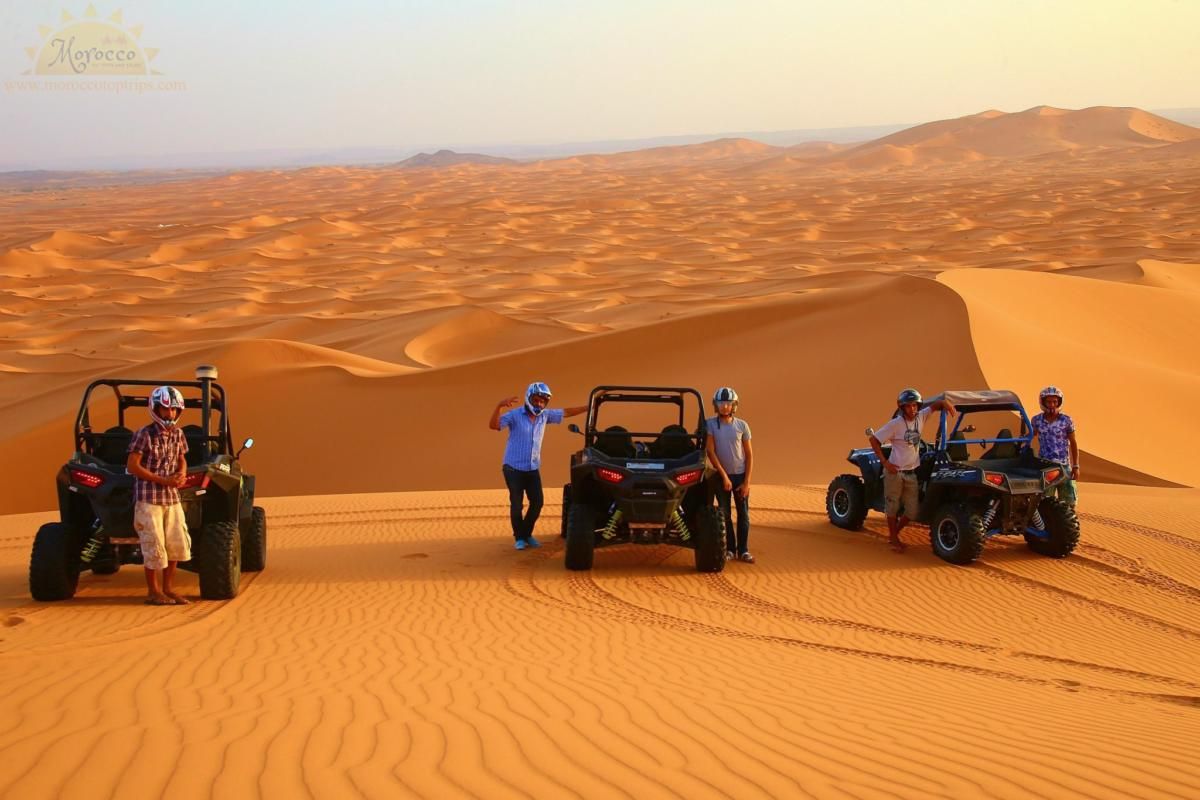 Tucson Activities: Explore Desert Fun