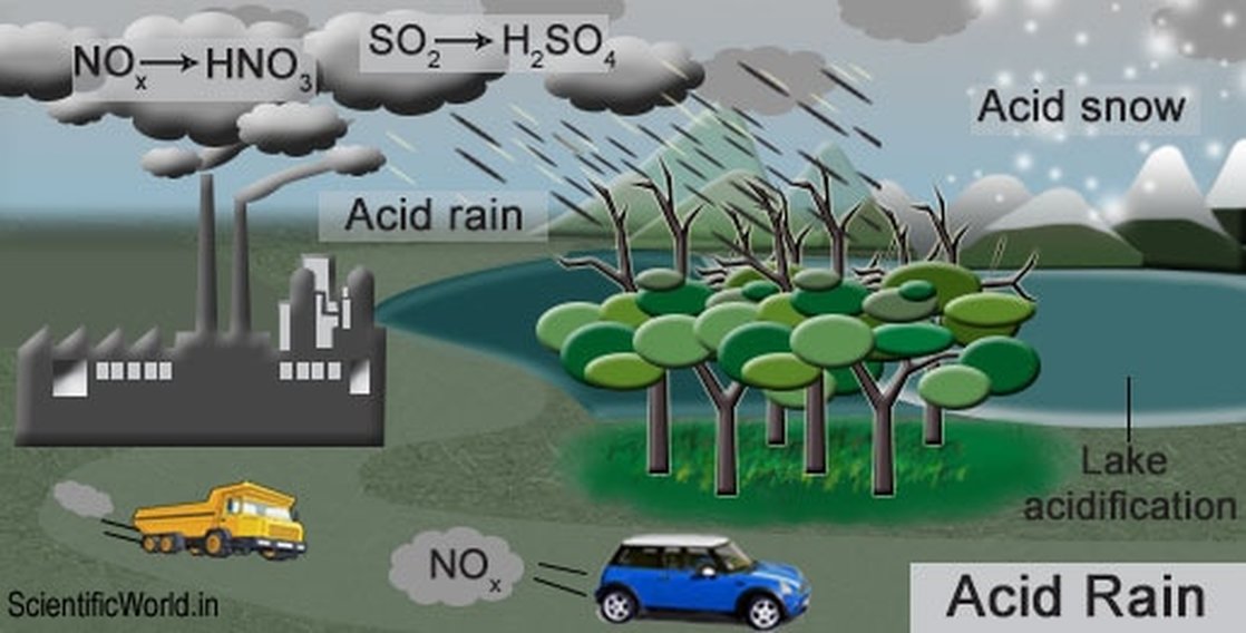 What Causes Acid In The Pool? Diy Fix Guide What Causes Acid In The Pool? Diy Fix Guide