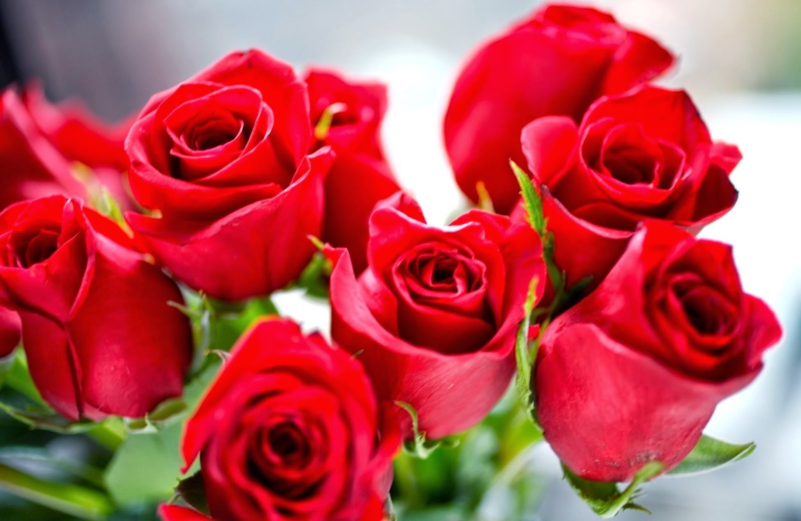 What Is A Flower What Is A Flower