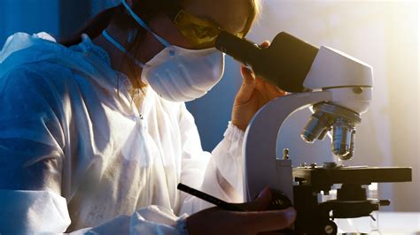 What Is Biomedical Engineering The Best Health Degrees What Is Biomedical Engineering The Best Health Degrees