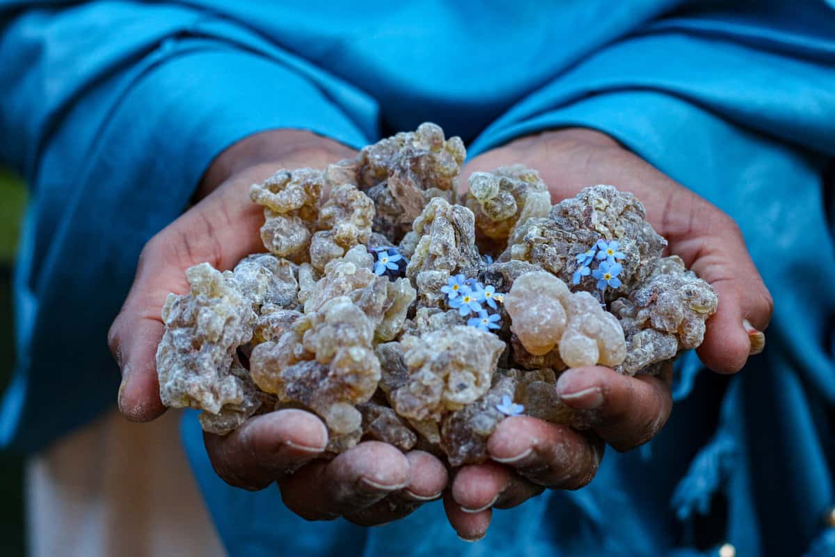 Where Does Frankincense Come From